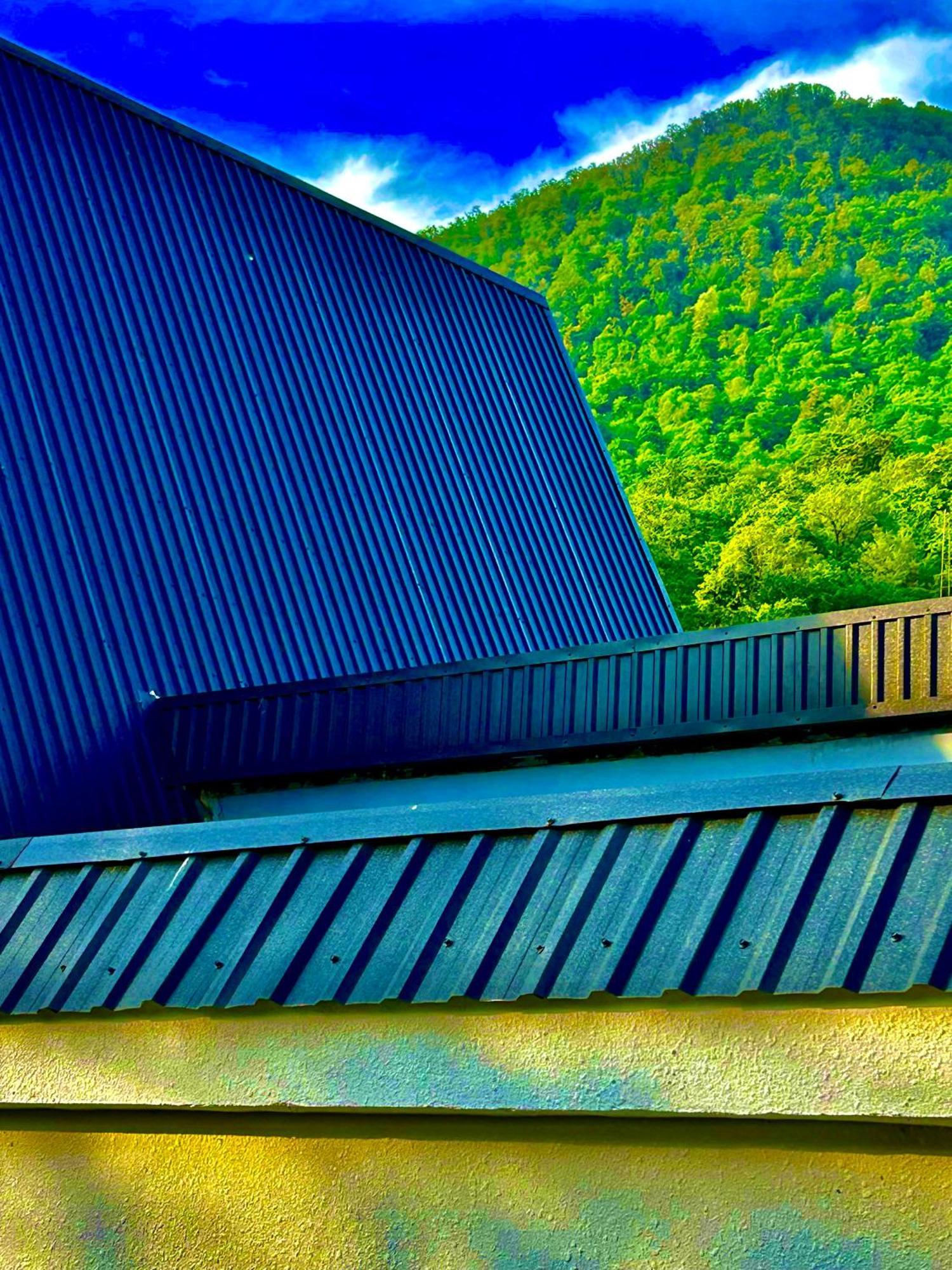 Qafqaz Mountside Chalet ガバラ エクステリア 写真